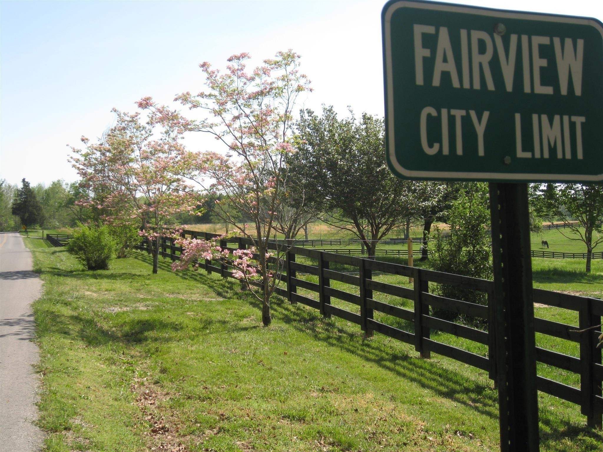 7194 Dice Lampley Road Fairview, TN 37062 - Photo 4 of 12 a view of a street sign of a house