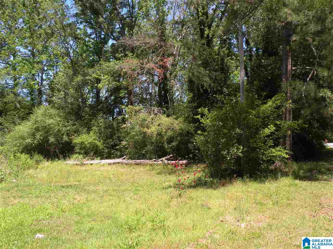 Gantts Junction Road, Unit 10 32 Sylacauga, AL 35150 - Photo 3 of 3