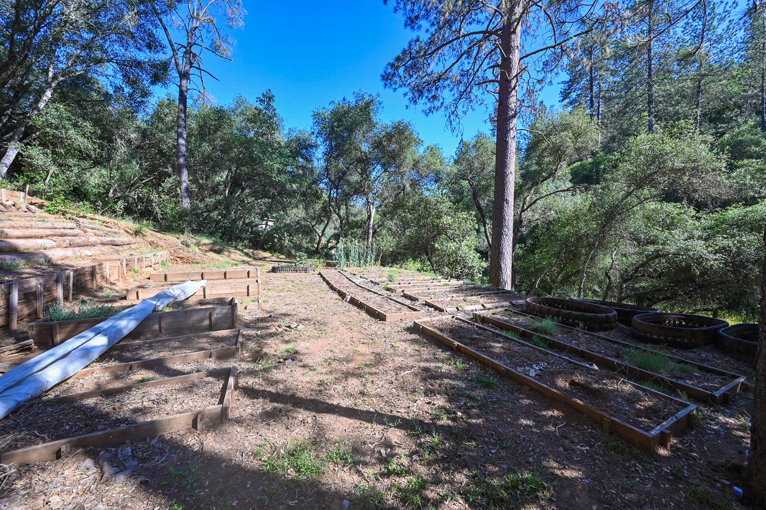 5288 Rattlesnake Bar Road Pilot Hill, CA 95664 - Photo 34 of 45 Raised Garden Beds