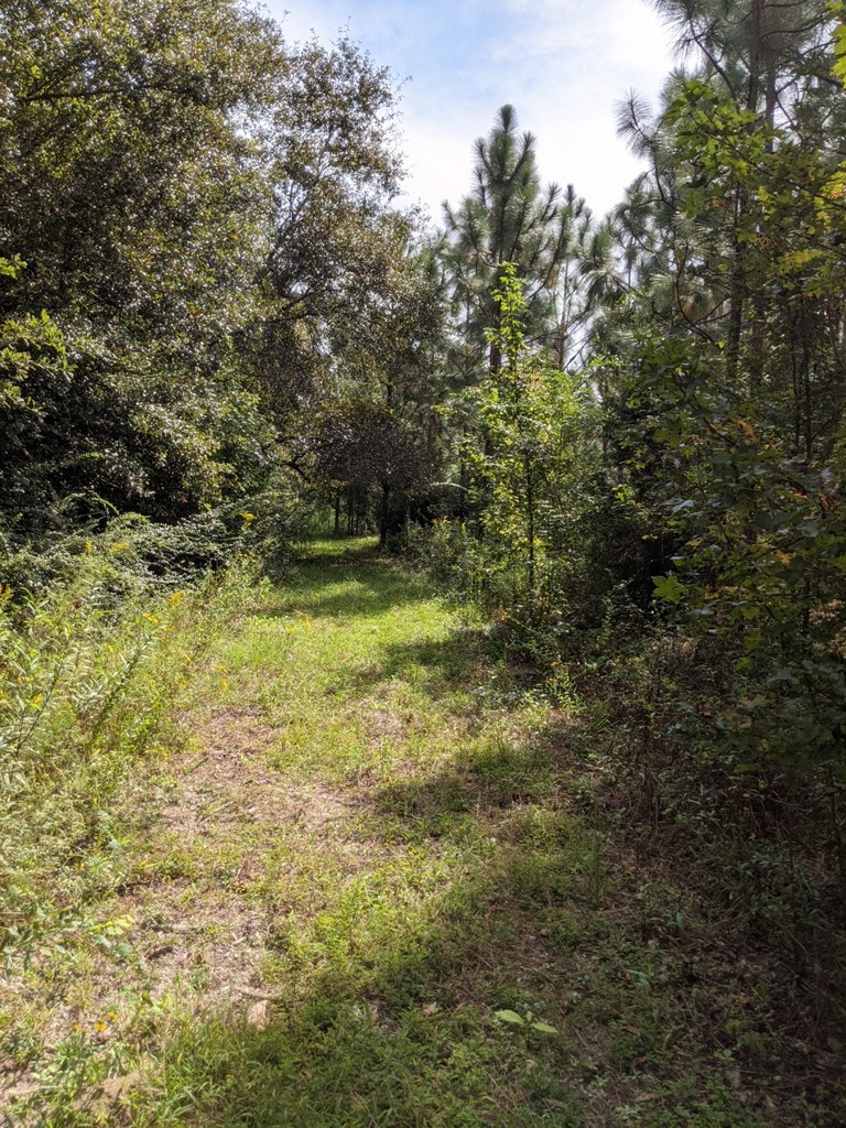 785 Nobles Road Cottonwood, AL 36320 - Photo 11 of 26
