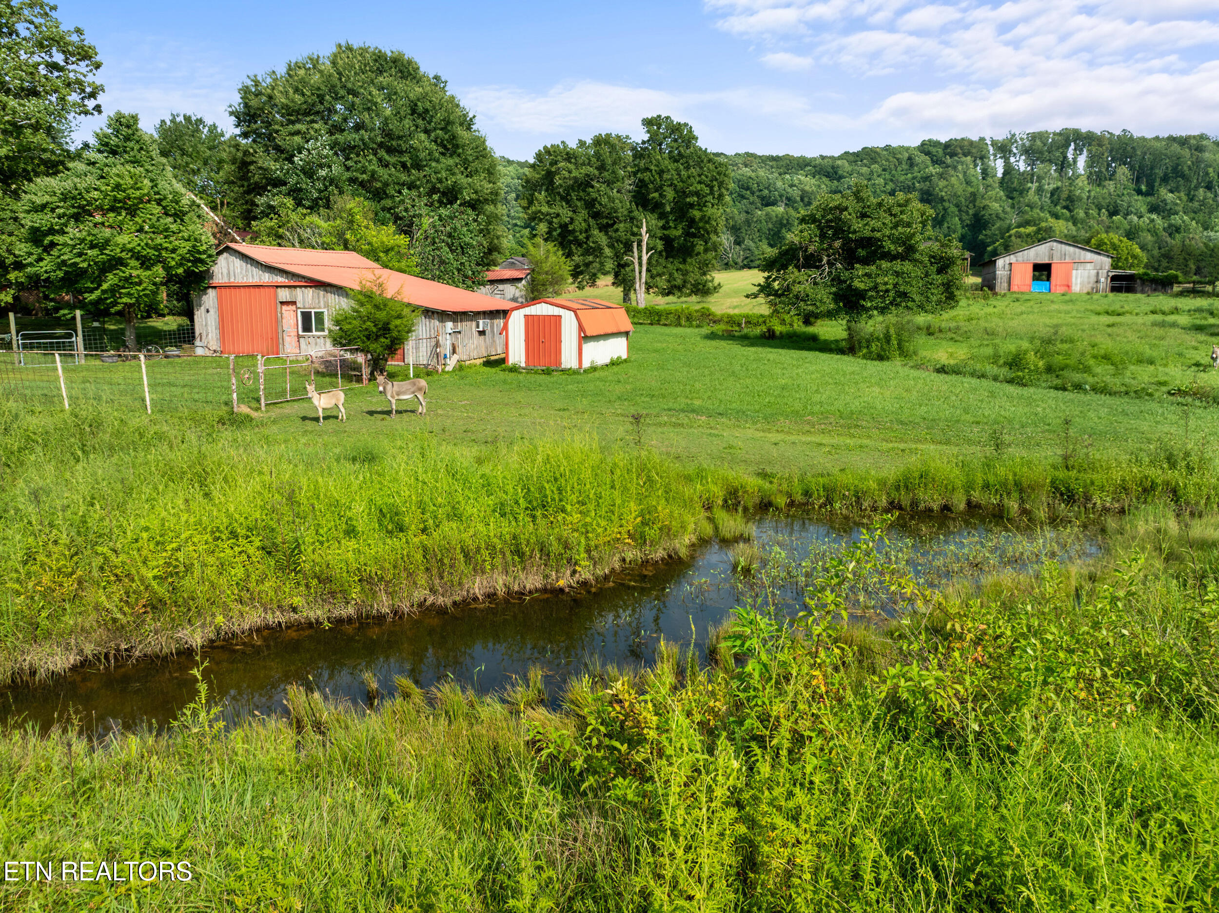 1245 Paint Rock Valley Road Philadelphia, TN 37846 - Photo 45 of 60 1245 paint rock valley rd-65