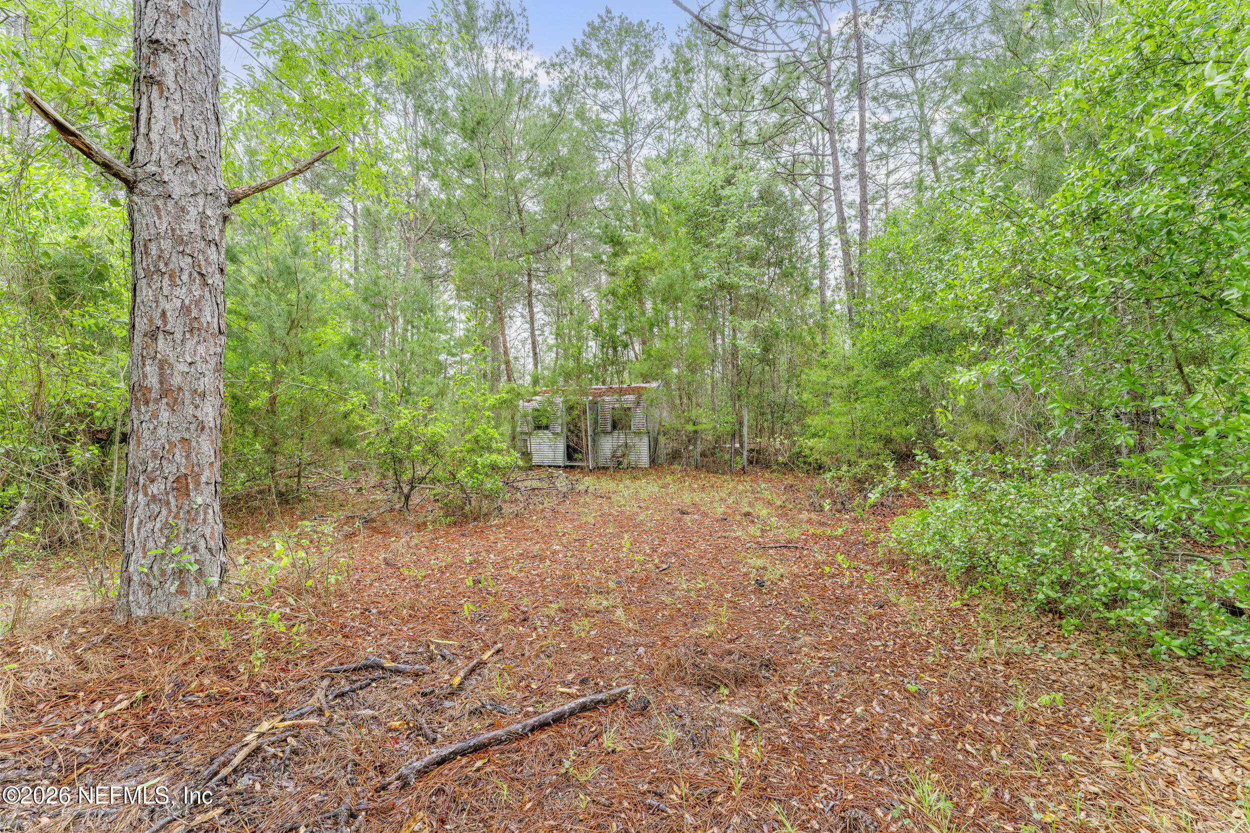 1056 Bellamy Road Melrose, FL 32666 - Photo 47 of 59 ar508007