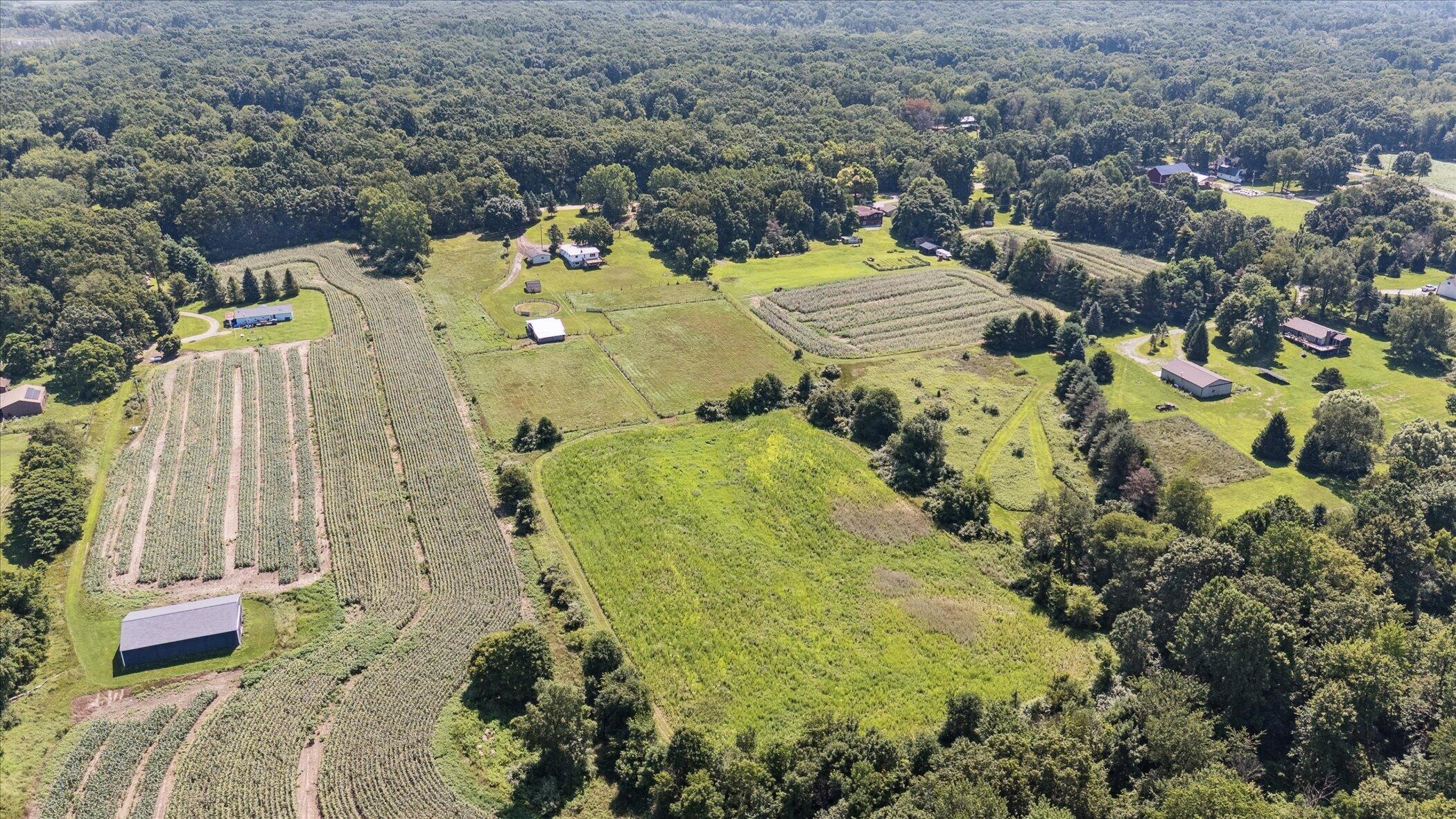 6570 Farley Road Pinckney, MI 48169 - Photo 33 of 36 35-6570-Farley-Rd-Pinckney-MI-48169-Wind
