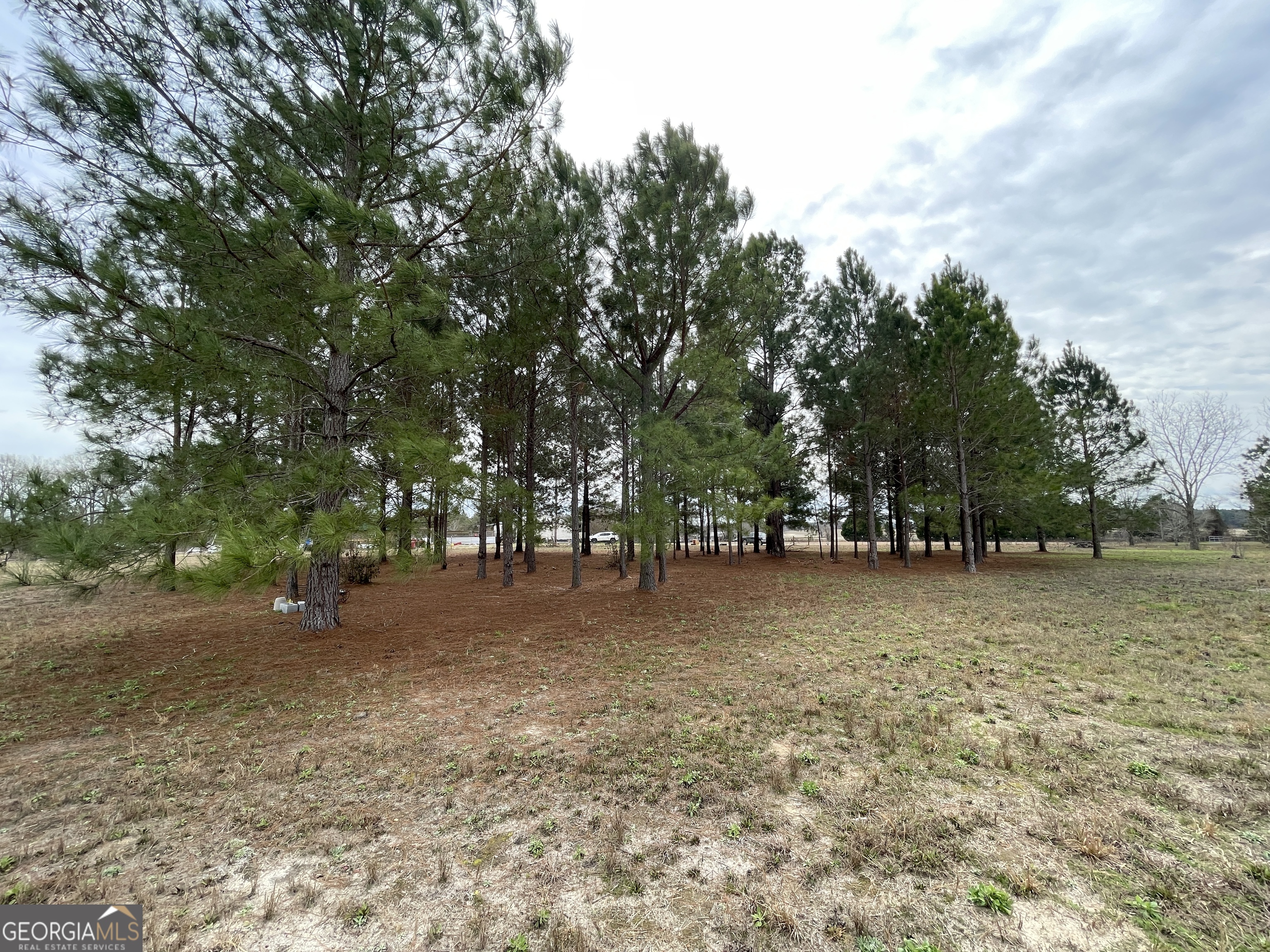 141 James English Road Cochran, GA 31014 - Photo 6 of 7 a view of a tree in a yard