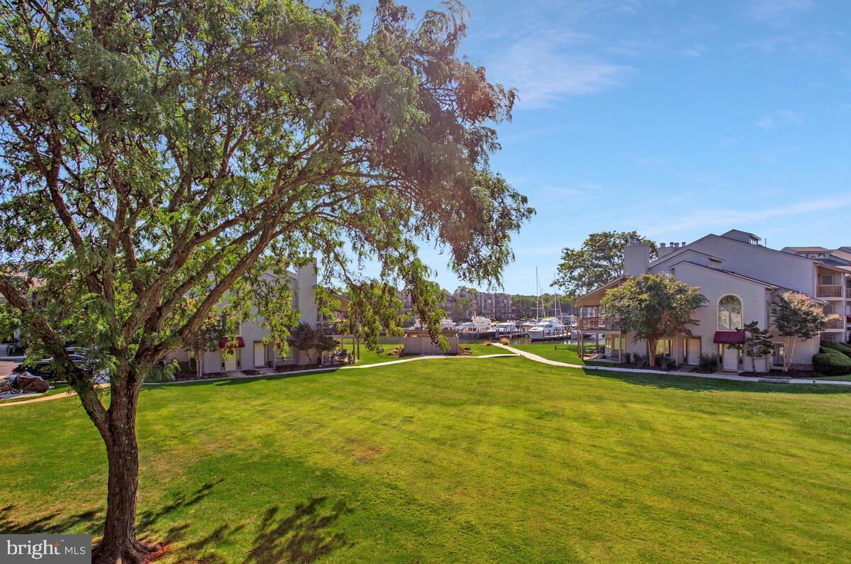 7002 Channel Village Court, Unit 101 Annapolis, MD 21403 - Photo 1 of 48 a view of yard with swimming pool and green space