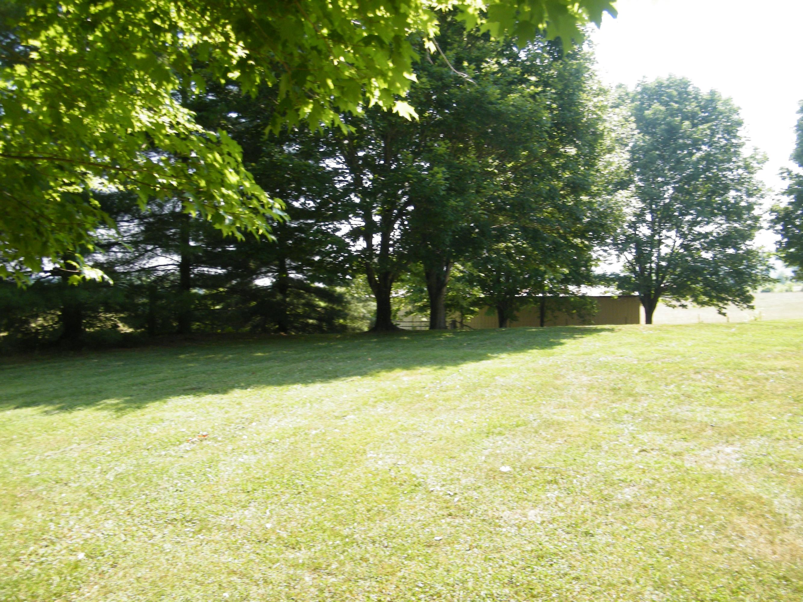 536 Bruner Road Strawberry Plains, TN 37871 - Photo 7 of 14 DSCF0347