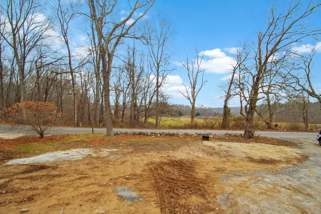 a view of yard with trees