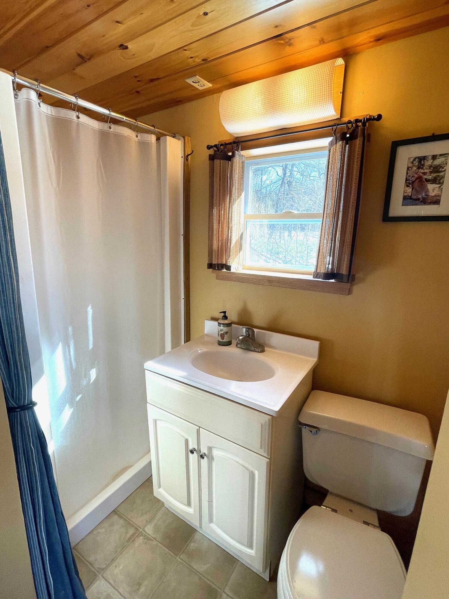 488 Bog Road New Portland, ME 04961 - Photo 9 of 13 IMG_7323