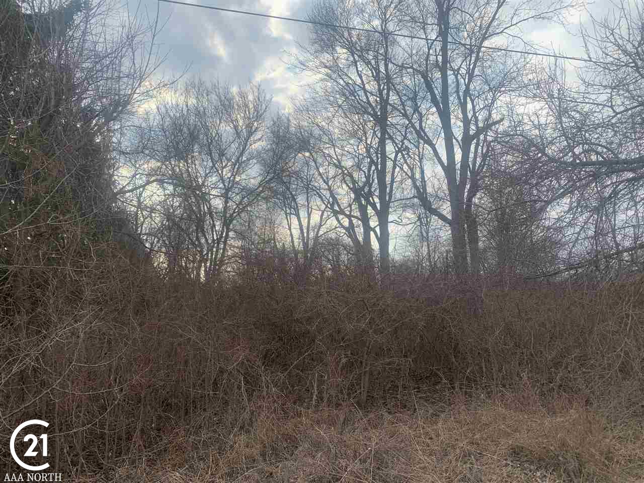 79951 Coon Creek Road Armada, MI 48005 - Photo 20 of 27 Gallery Image 20