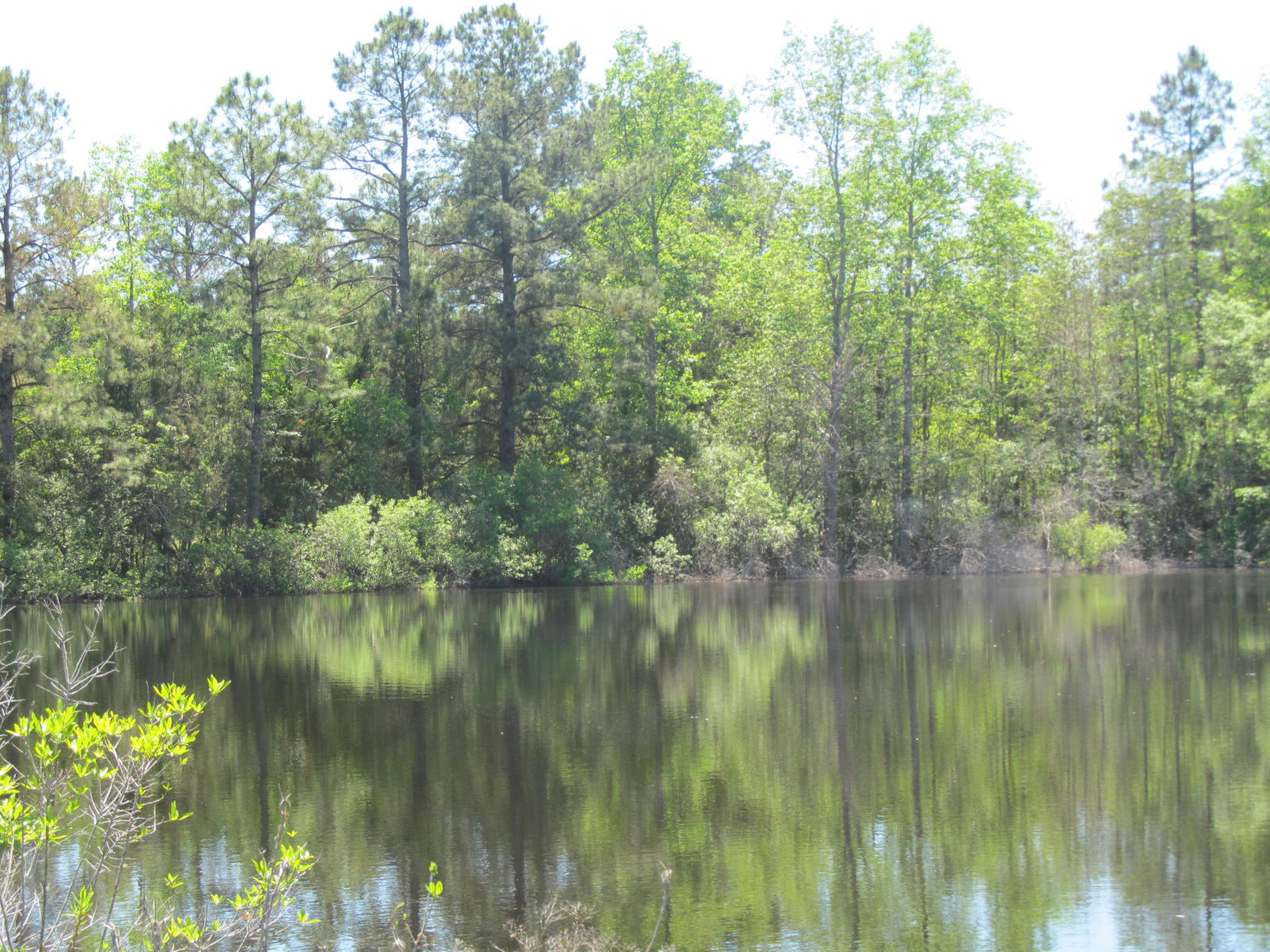 4943 Co Road DeFuniak Springs, FL 32435 - Photo 2 of 10 neal 38 ac 001