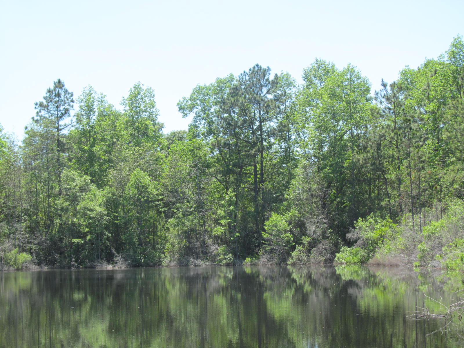 4943 Co Road DeFuniak Springs, FL 32435 - Photo 4 of 10 neal 38 ac 002