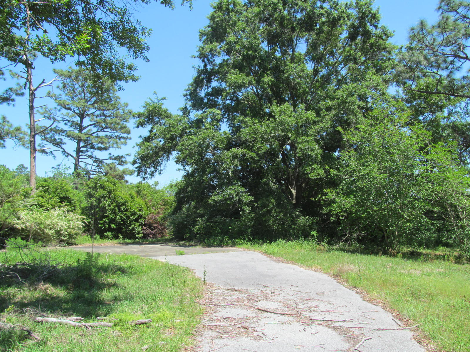 4943 Co Road DeFuniak Springs, FL 32435 - Photo 6 of 10 neal 38 ac 005