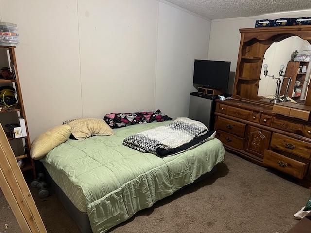 38 Bud Jennings Road Henning, TN 38041 - Photo 8 of 14 a bedroom with a bed and a flat screen tv
