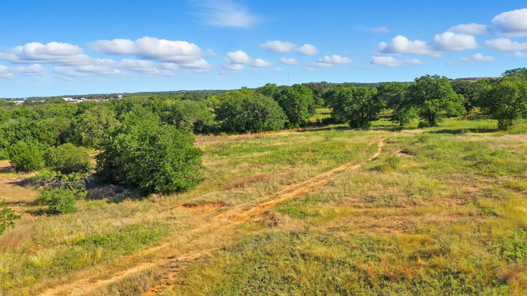 0 North Us Highway Decatur, TX 76234 - Photo 15 of 33 a view of a yard with an tree