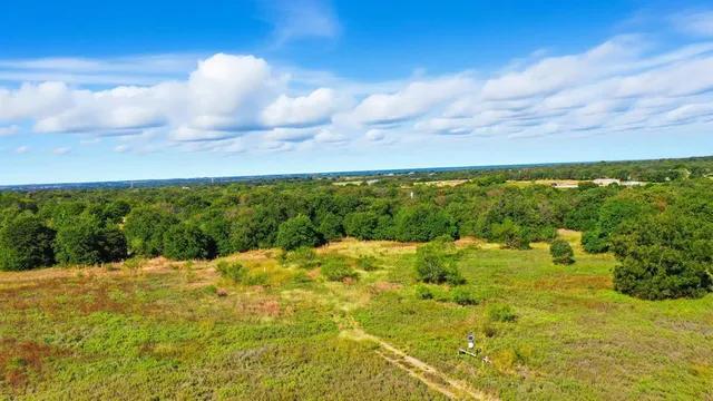 a view of a bunch of trees in a field