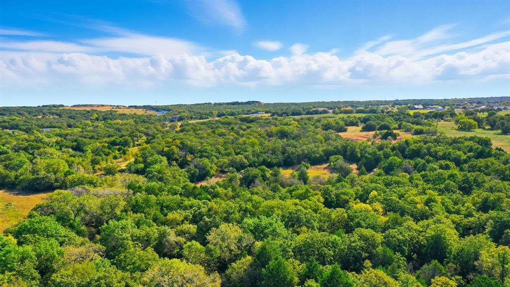 0 North Us Highway Decatur, TX 76234 - Photo 22 of 33 a view of a bunch of trees in a field
