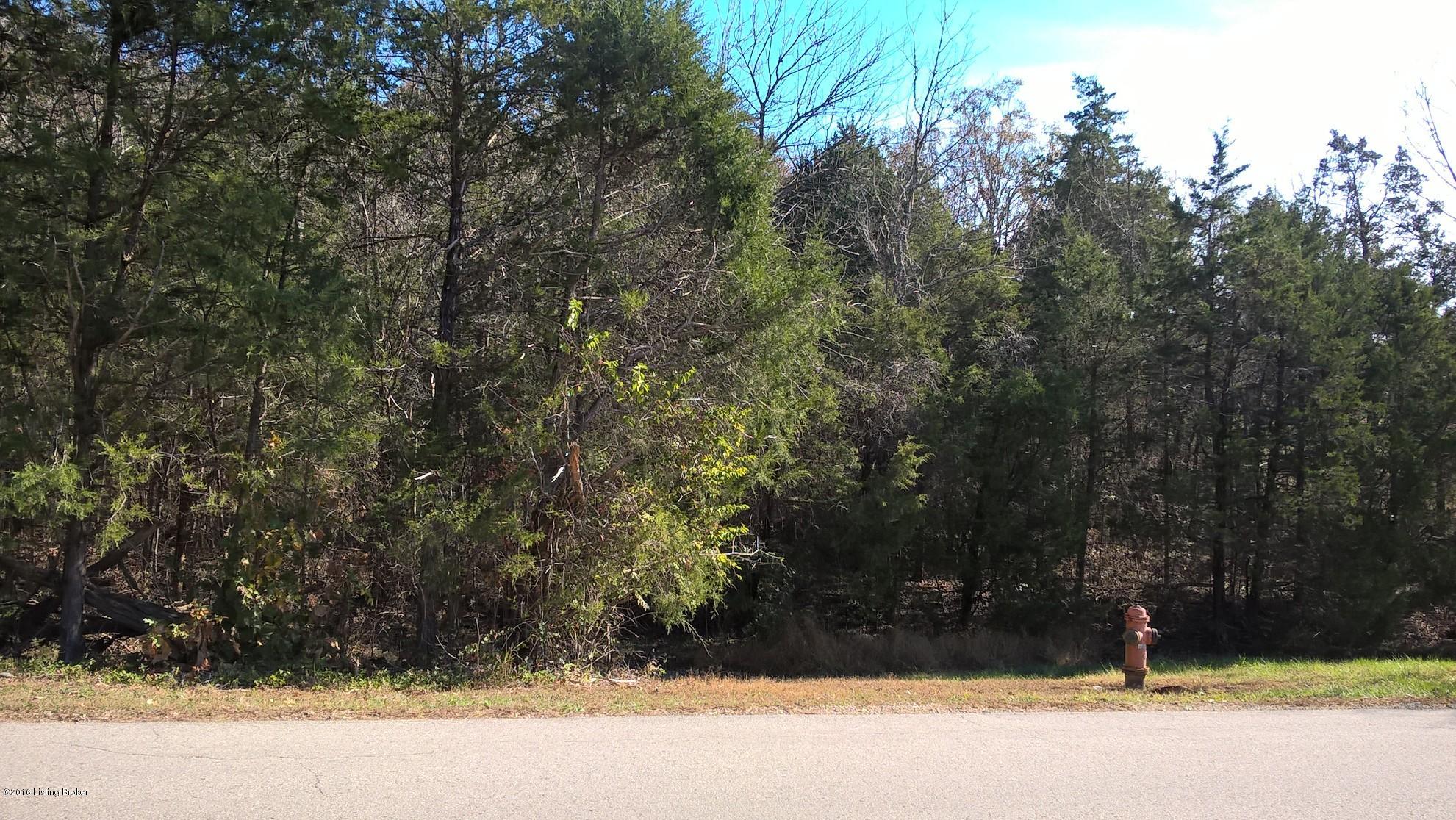 Lot 1 Foley Road Shepherdsville, KY 40165 - Photo 4 of 6 FOTD6F8