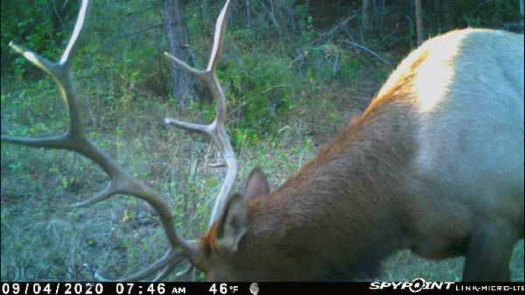 Tbd Tbd Hump Creek Road Reed Point, MT 59069 - Photo 1 of 1 Gallery Image 1