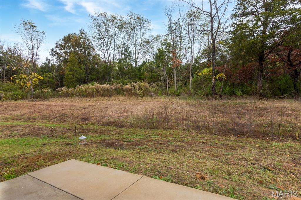 926 Osage Villa Court Villa Ridge, MO 63089 - Photo 18 of 19