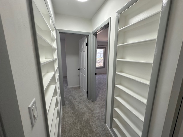 7893 Ramsgate Circle North Hanover Park, IL 60133 - Photo 11 of 14