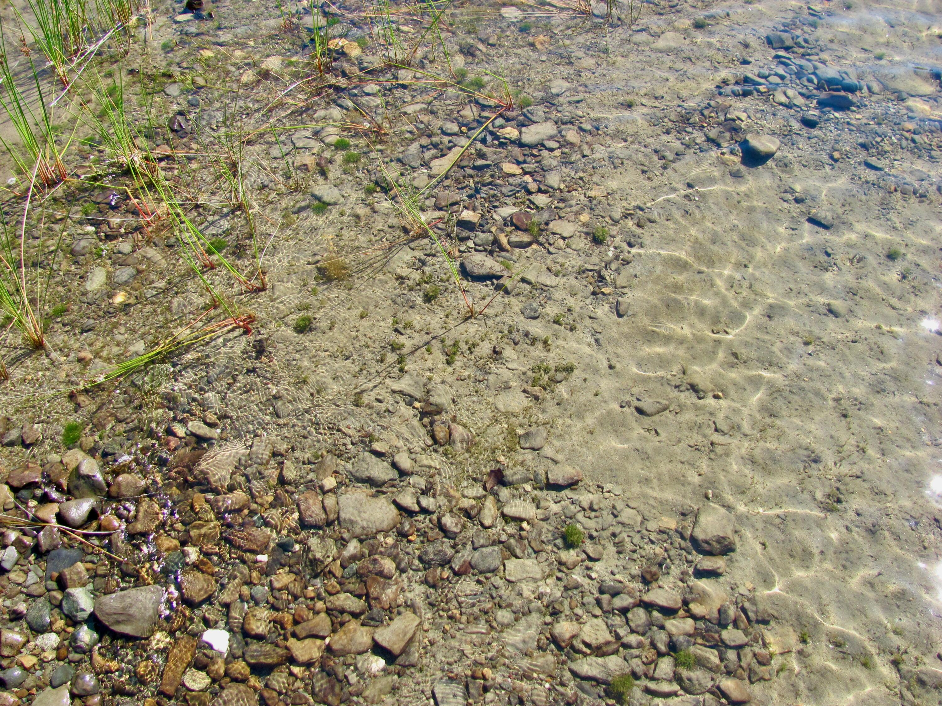 155 Deering Lake Road Orient, ME 04471 - Photo 24 of 66 water 3
