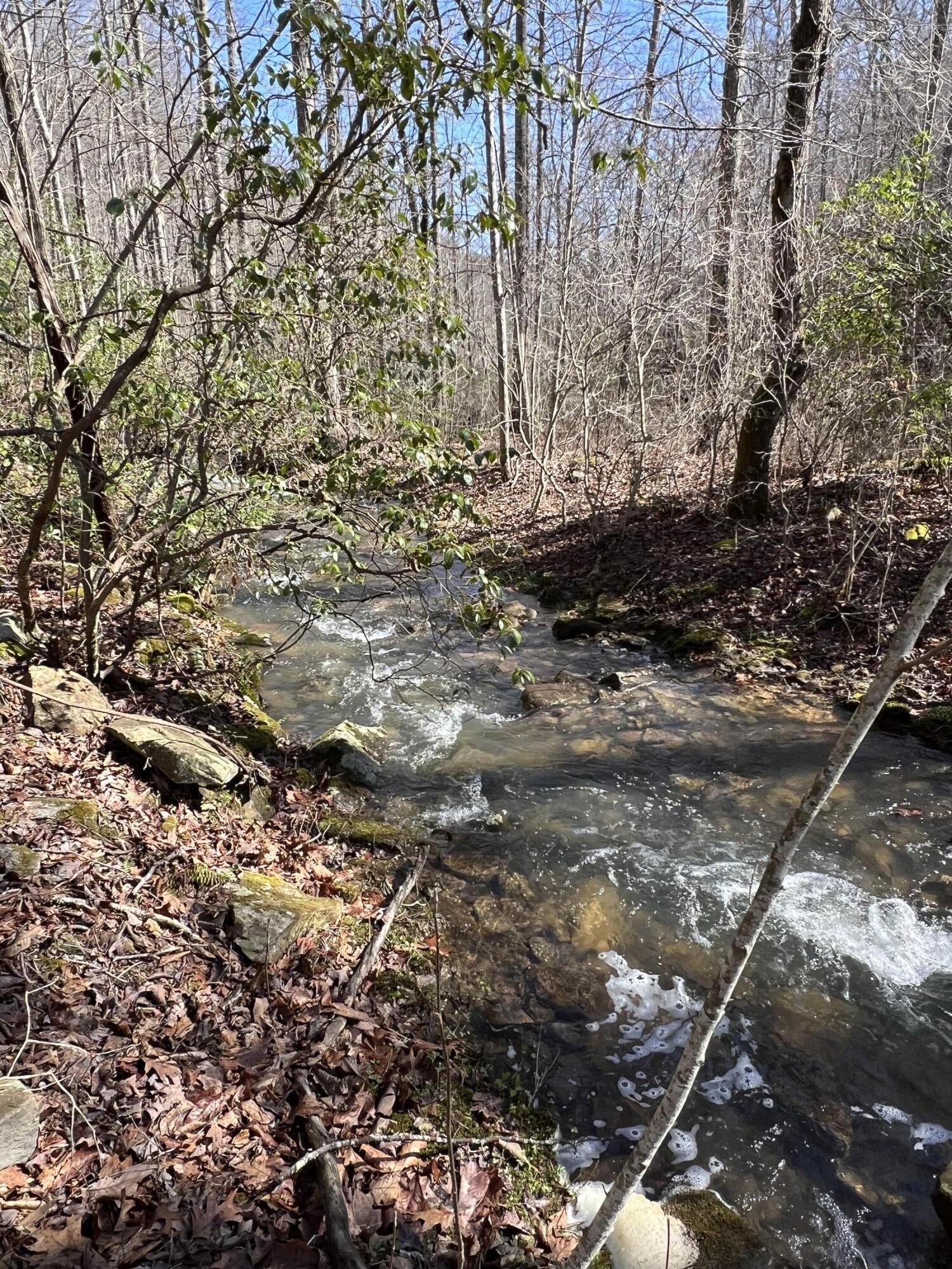 7 Deerhead Road Dunlap, TN 37327 - Photo 5 of 8