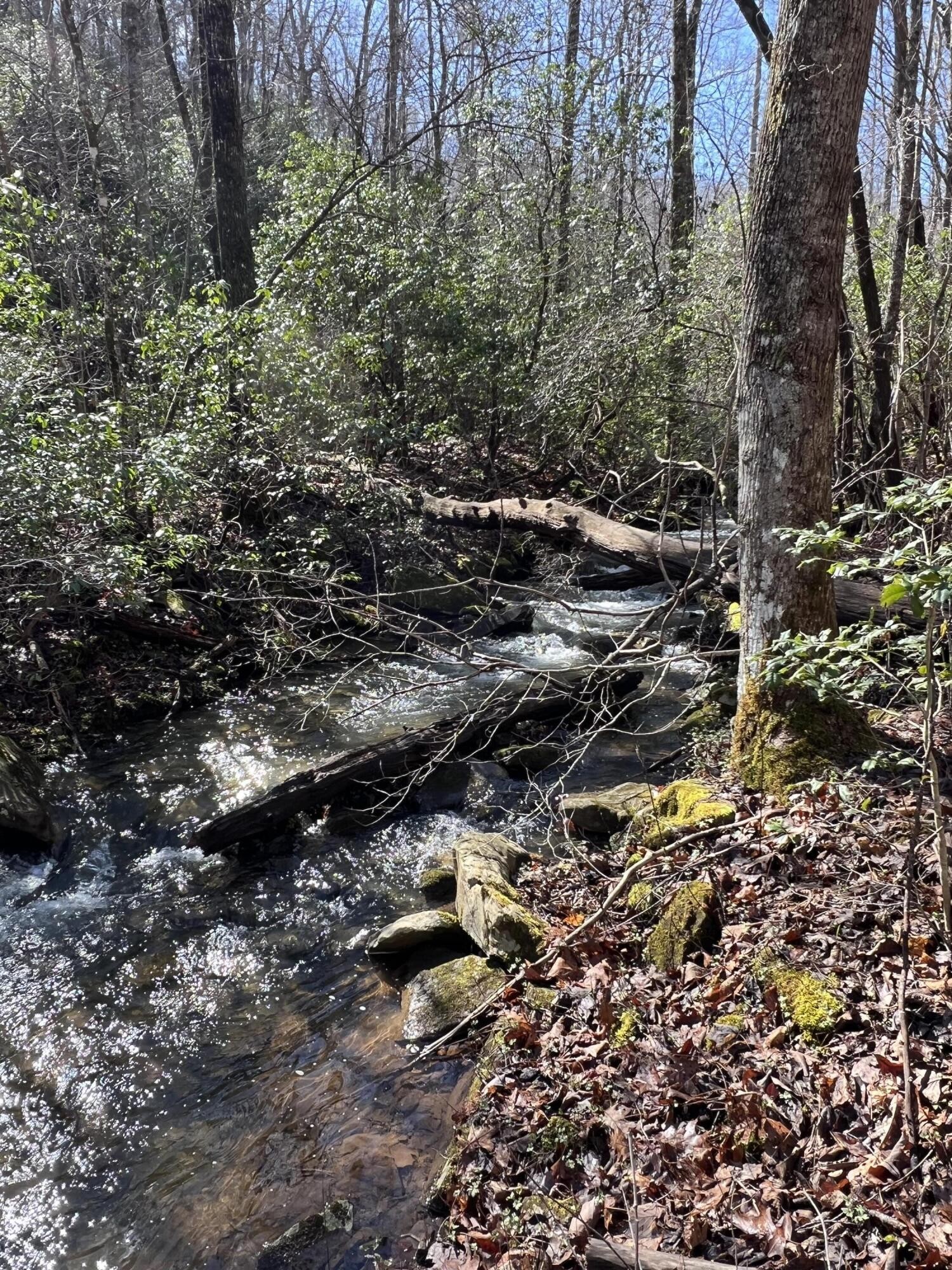 7 Deerhead Road Dunlap, TN 37327 - Photo 6 of 8