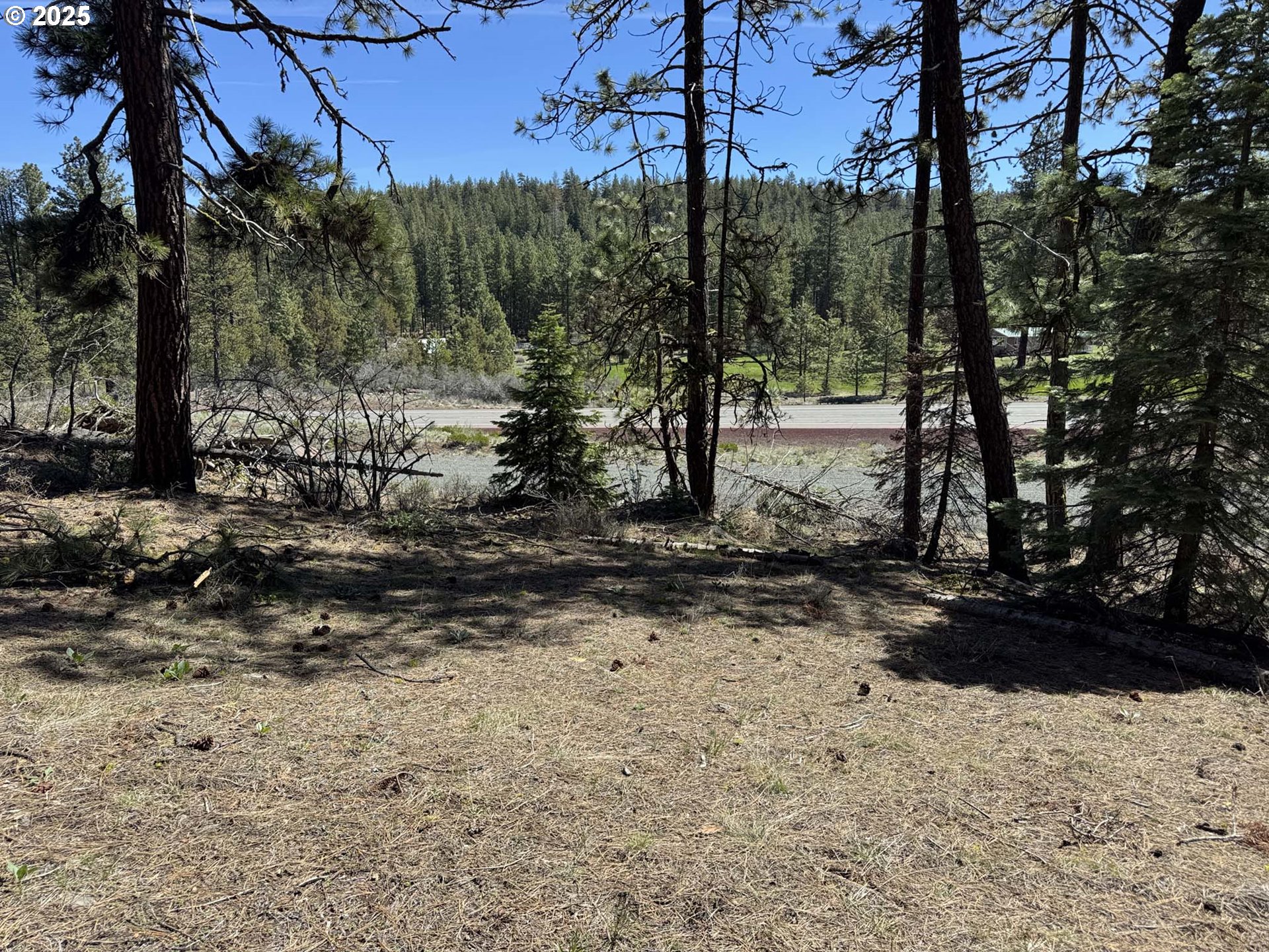 Horned Owl Lane Bonanza, OR 97623 - Photo 3 of 44