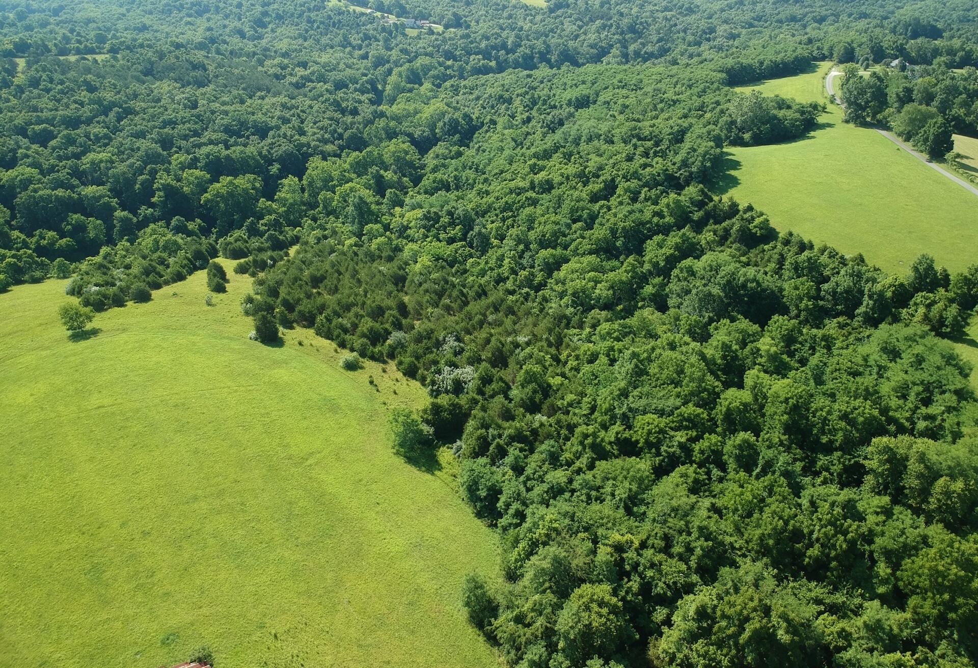 1 Vallandingham Road Dry Ridge, KY 41035 - Photo 6 of 17