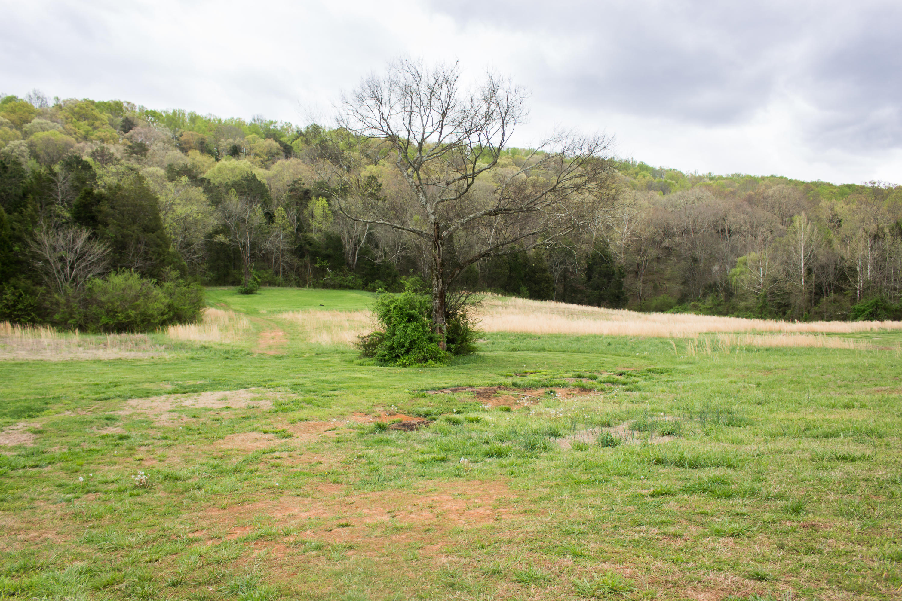230 Ranch Road Loudon, TN 37774 - Photo 34 of 39 4-wheeling fun! feeding plot for wildlif