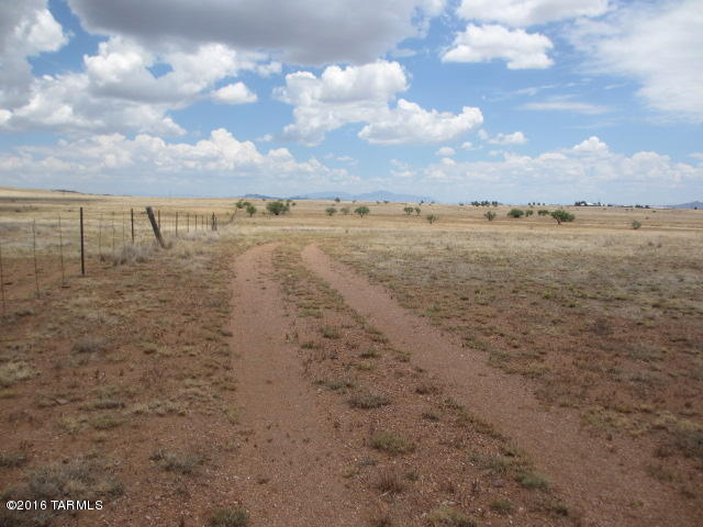 0 Curly Horse Ranch Road Sonoita, AZ 85637 - Photo 3 of 13