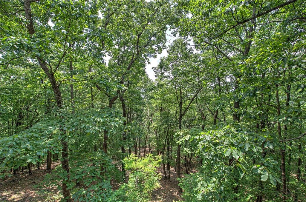 572 Cutthroat Ridge Road Jasper, GA 30143 - Photo 52 of 84