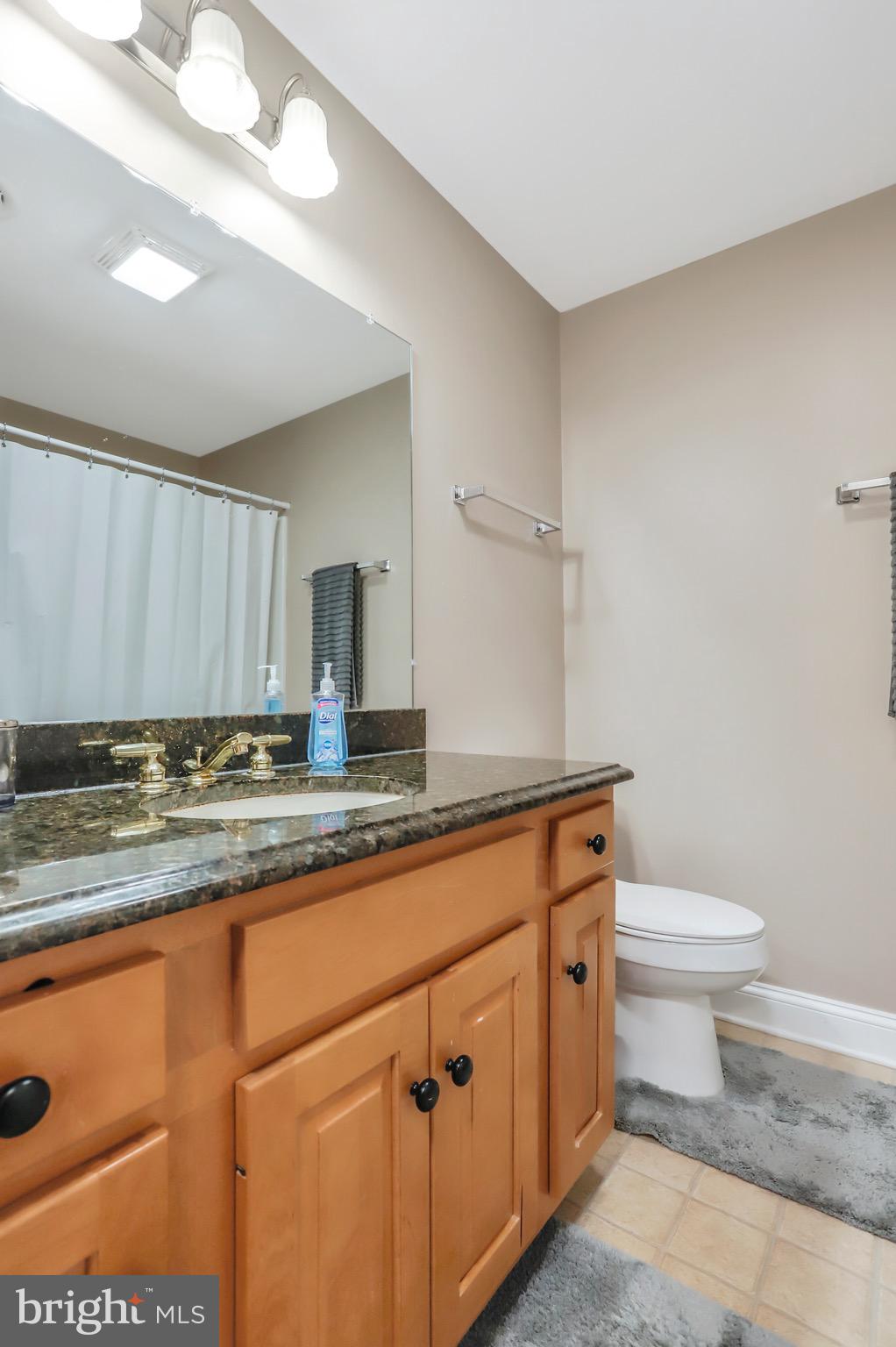 3228 Gapland Road Rohrersville, MD 21779 - Photo 29 of 56 Upper Level Full Bathroom with Shower/Tub
