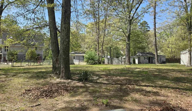 a view of a trees in the middle of a yard