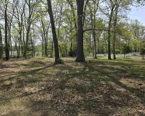a view of outdoor space with trees all around