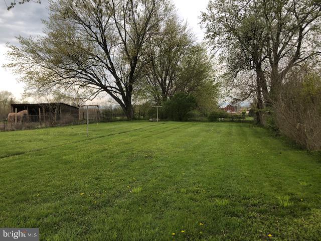 5108 Harney Road Taneytown, MD 21787 - Photo 59 of 68 Back pirch Back Yard