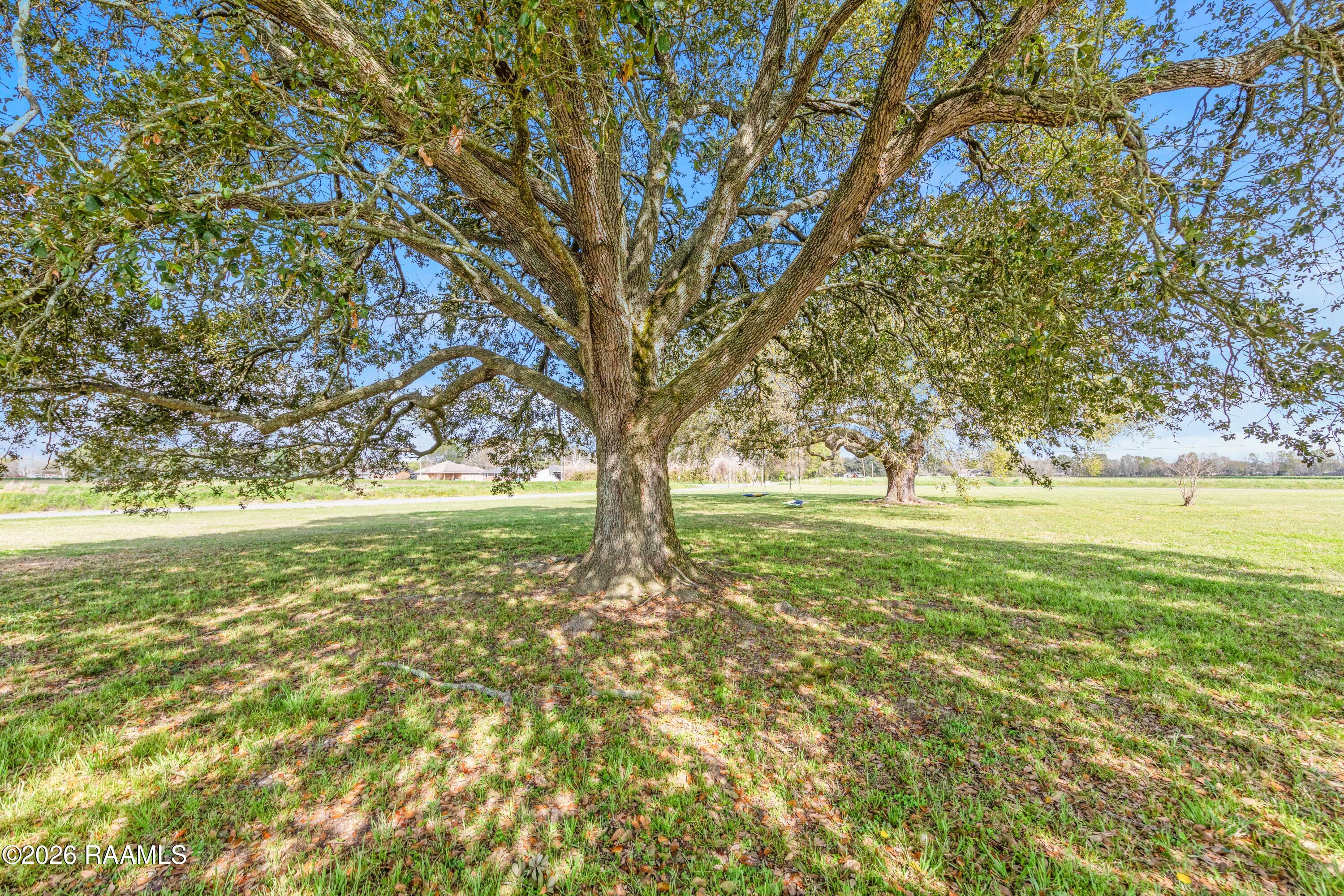 1422 East Maple Avenue Eunice, LA 70535 - Photo 25 of 26 1422EMaple-14