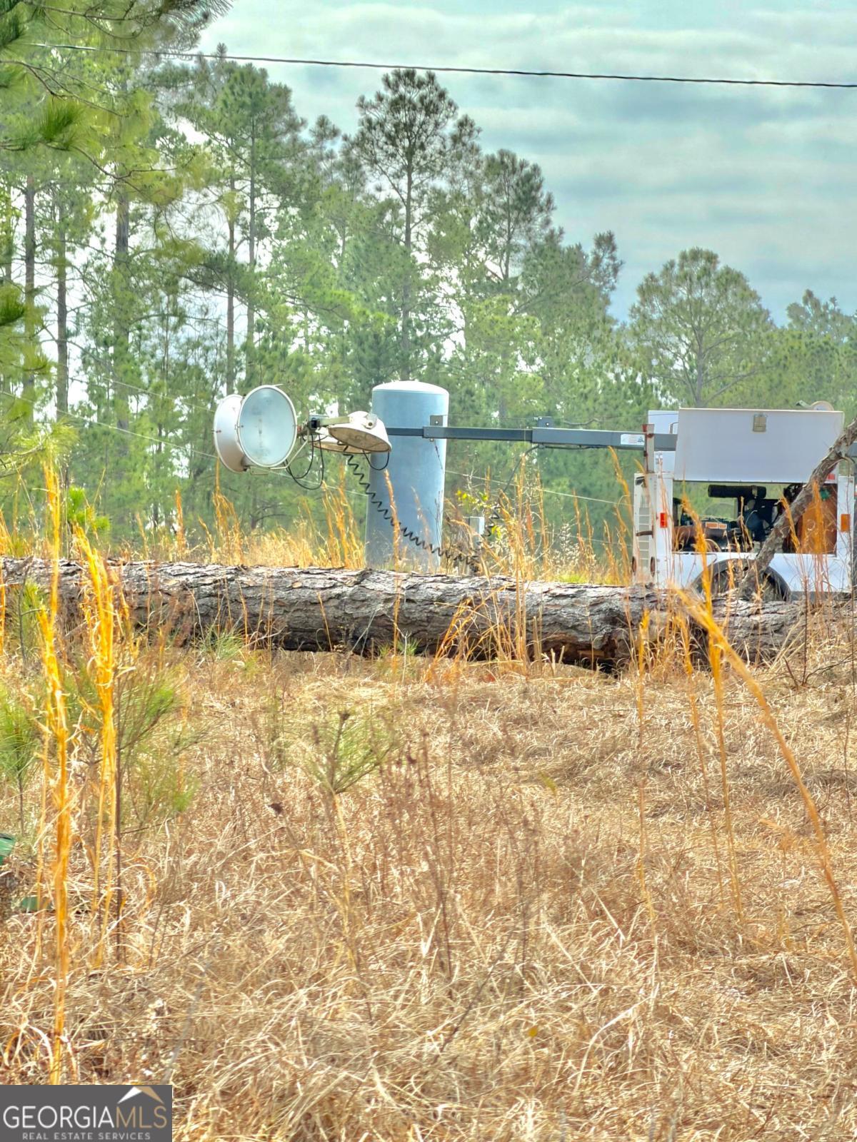 500 Gray's Landing Road Uvalda, GA 30473 - Photo 28 of 35