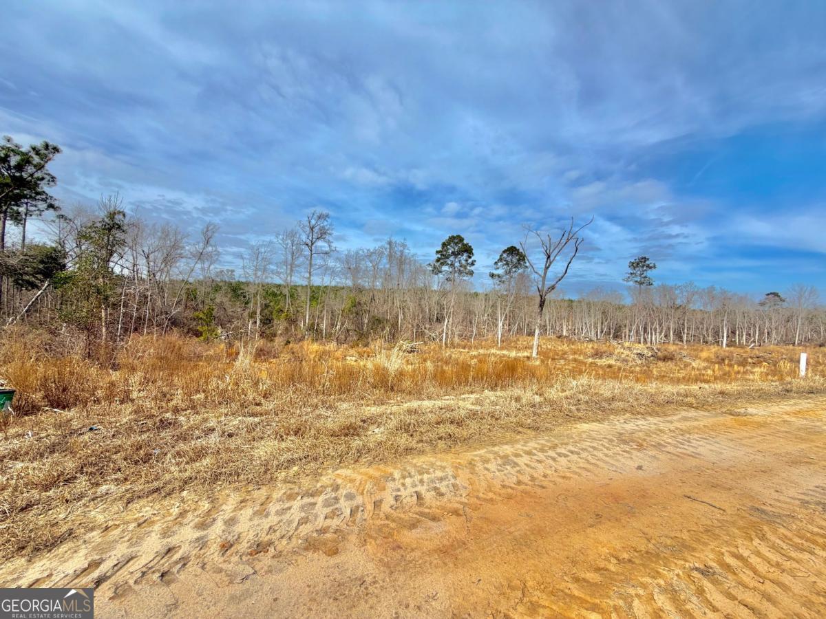 500 Gray's Landing Road Uvalda, GA 30473 - Photo 33 of 35