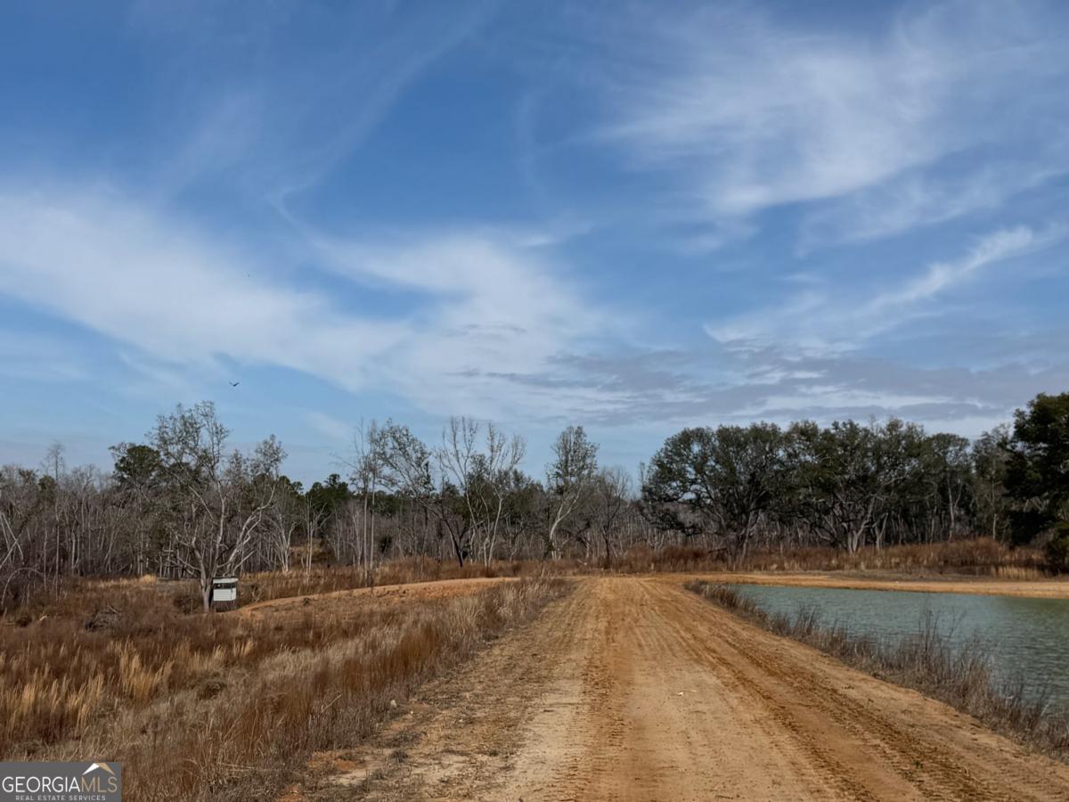 500 Gray's Landing Road Uvalda, GA 30473 - Photo 34 of 35