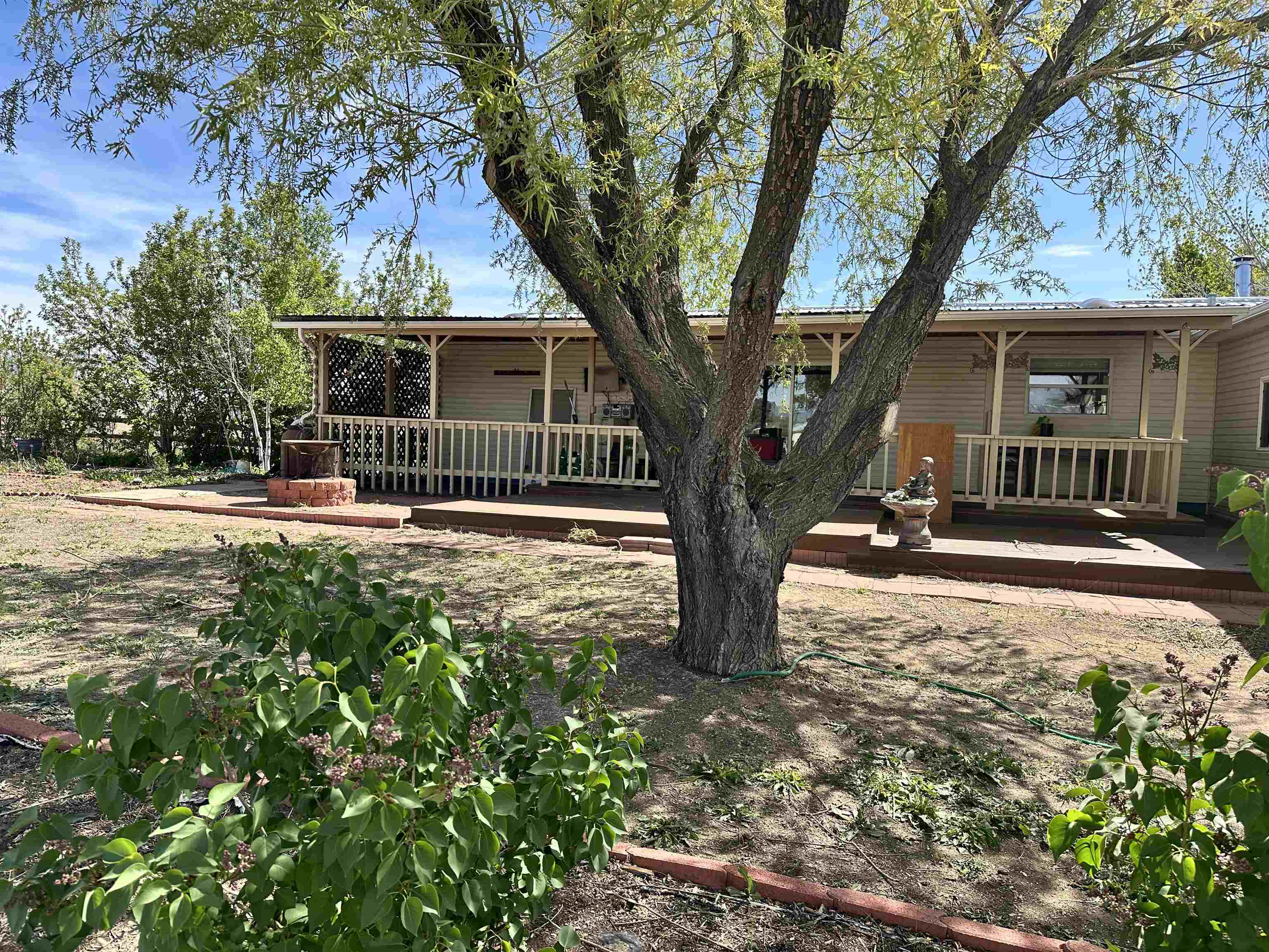 21177 Navajo Road Eckert, CO 81418 - Photo 4 of 21