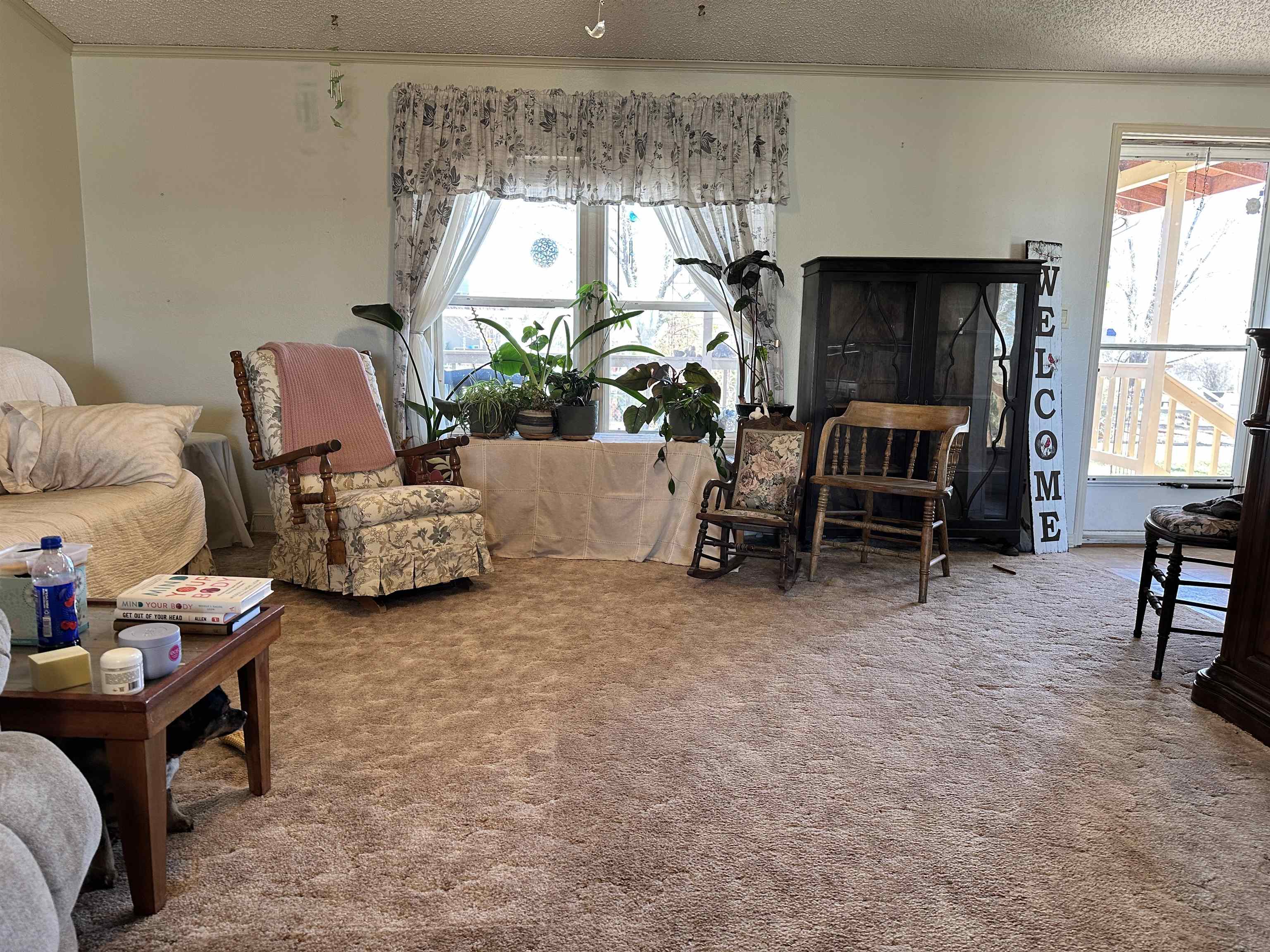 21177 Navajo Road Eckert, CO 81418 - Photo 6 of 21