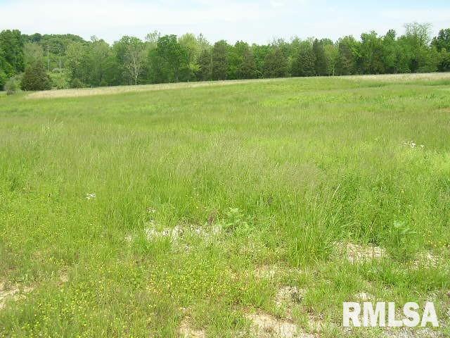 0 Highway 146 Vienna, IL 62995 - Photo 1 of 6 Gallery Image 1