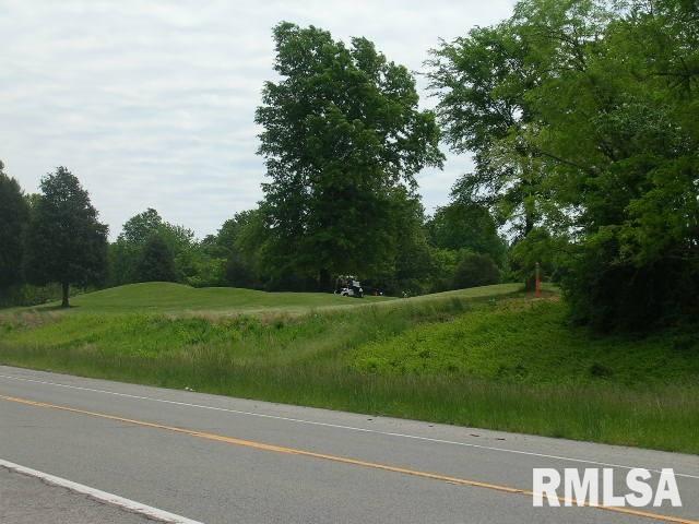 0 Highway 146 Vienna, IL 62995 - Photo 6 of 6 Gallery Image 6