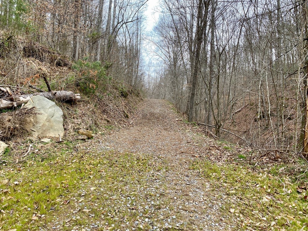 Tbd Jasper Creek Road Bristol, VA 24202 - Photo 5 of 21 Gallery Image 5