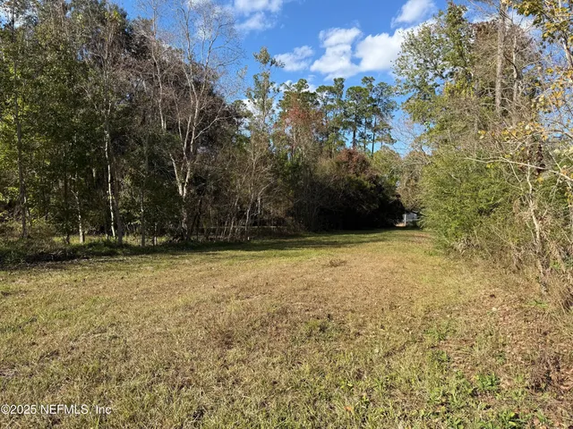 a view of a yard with a tree