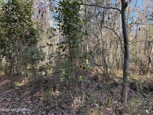 a view of swimming pool with lawn chairs and trees