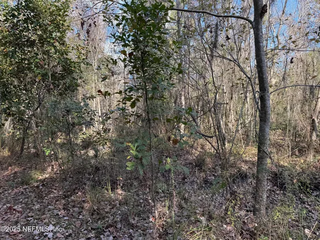 a view of swimming pool with lawn chairs and trees