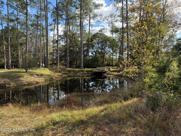 a view of a yard with a tree