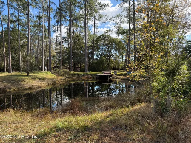 a view of a yard with a tree
